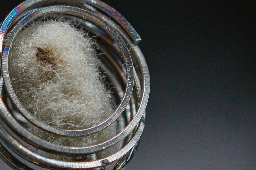 B2B Supply of vape disposables — Winter special