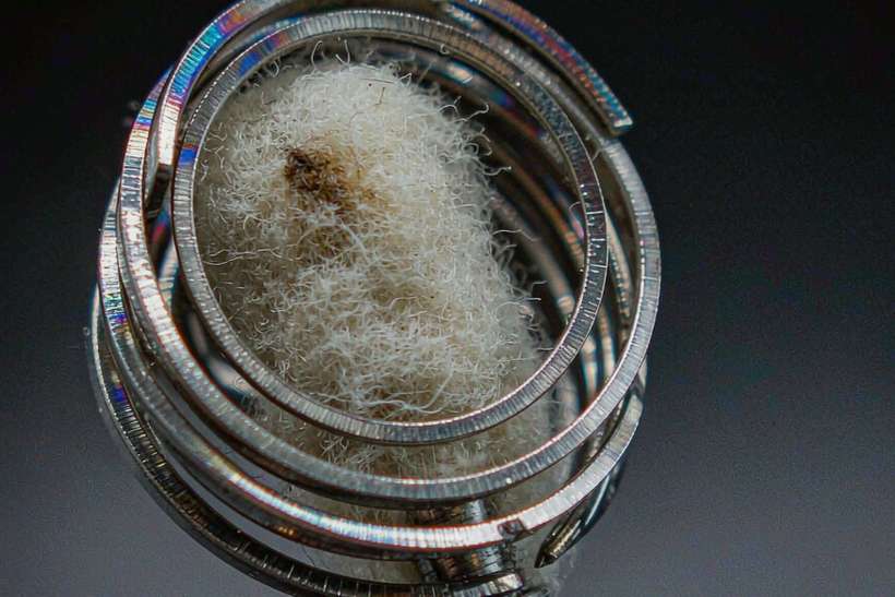 B2B Supply of vape mods — limited batch