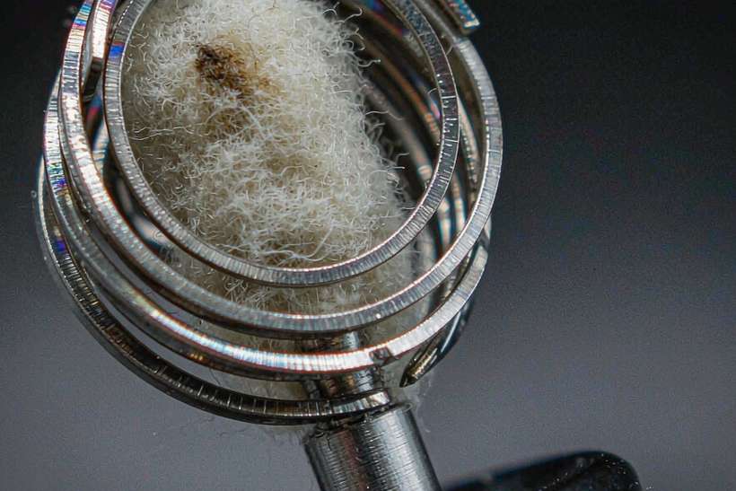 Bulk Distribution for vape disposables — Spring catalog