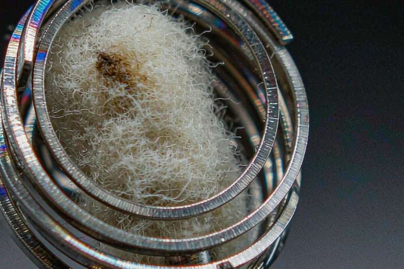 Buyer's Guide to vape coils — container load