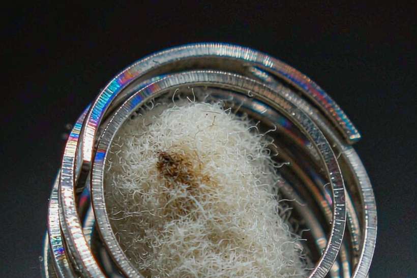 Buyer's Guide to vape coils — limited batch