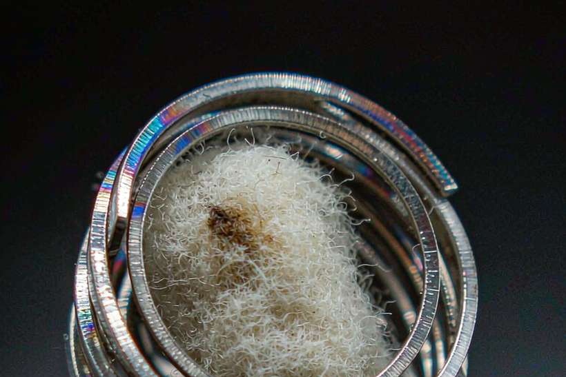 Buyer's Guide to vape e-liquid — ODM ready