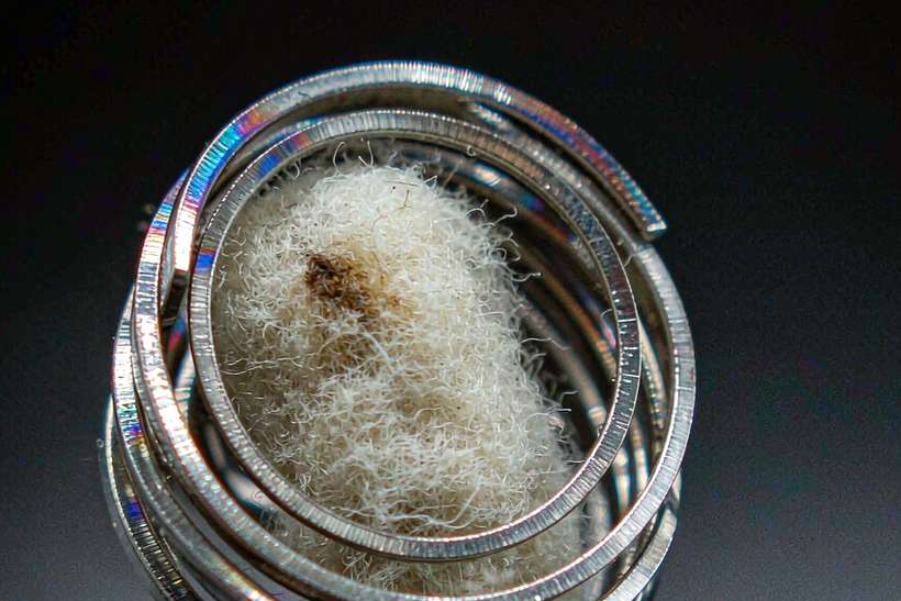 Buyer's Guide to vape mods — ODM ready