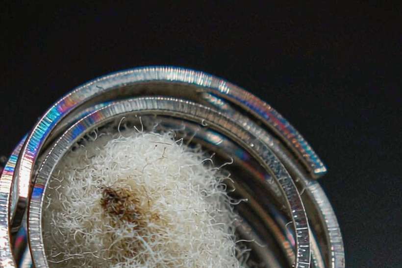 Case Study: vape accessories — Winter special
