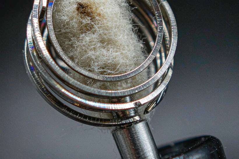 Case Study: vape disposables — Summer deals