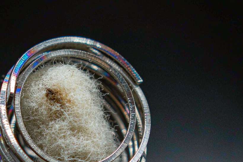 Case Study: vape mods — Spring catalog