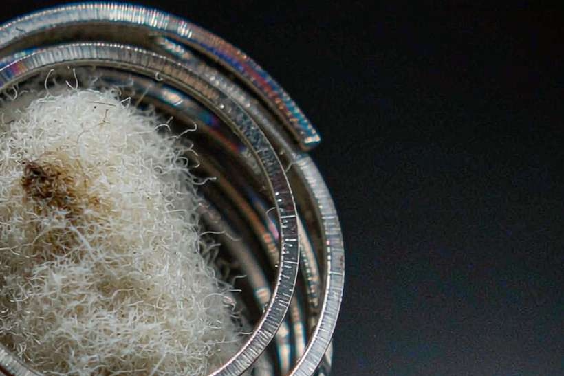 Device Catalog for vape disposables — ODM ready