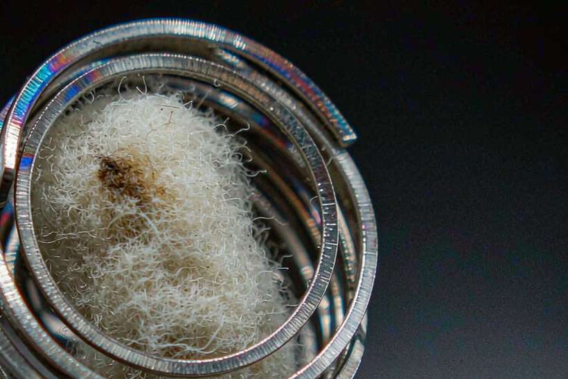 FAQ on vape coils — Autumn stock