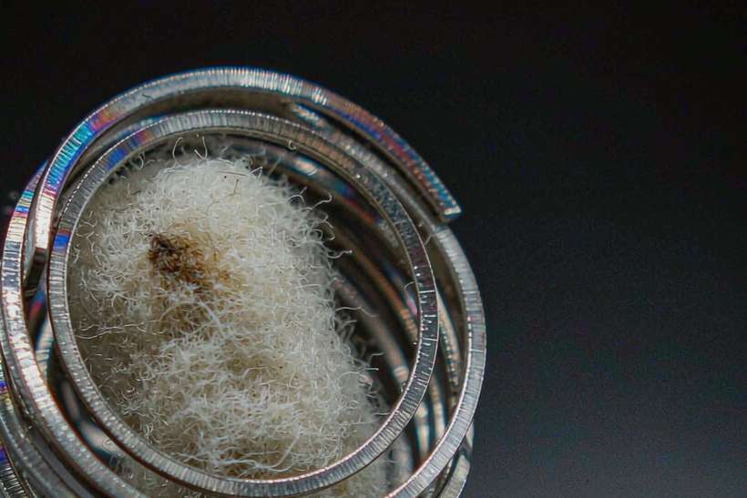 FAQ on vape pods — container load