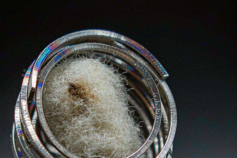 Flavor Catalog of vape coils — container load