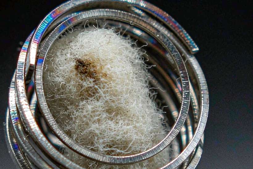 Glossary of vape kits — container load
