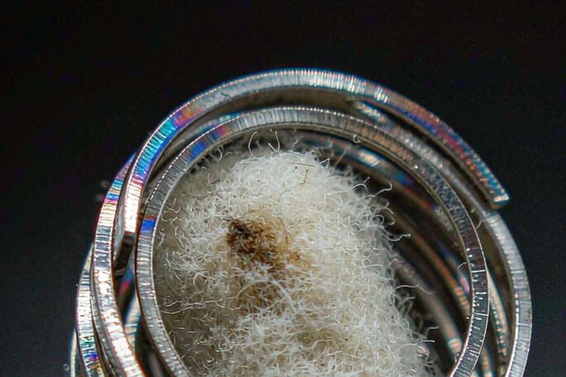 How to Store vape pods — EU stock
