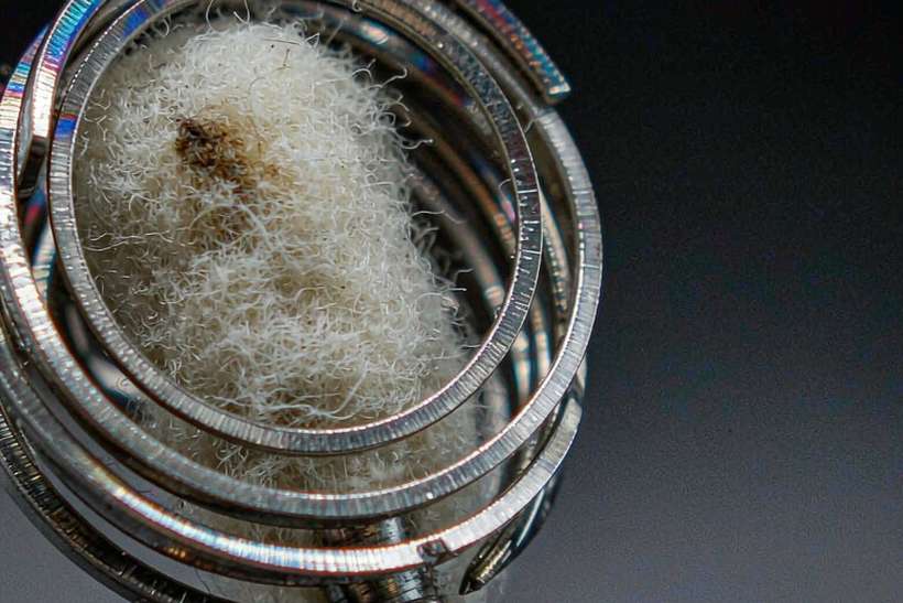 Launch Plan for vape disposables — EU stock