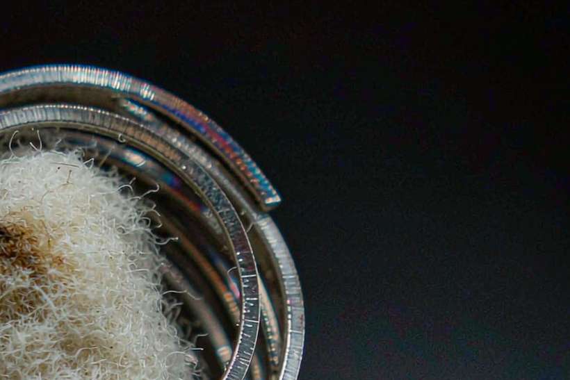 Launch Plan for vape disposables — small parcel