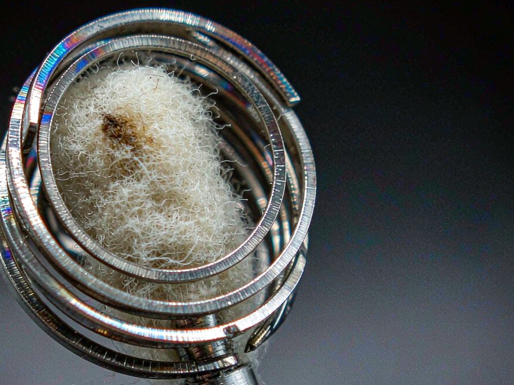 Market Overview of Jeonju Tanba vape — new arrivals