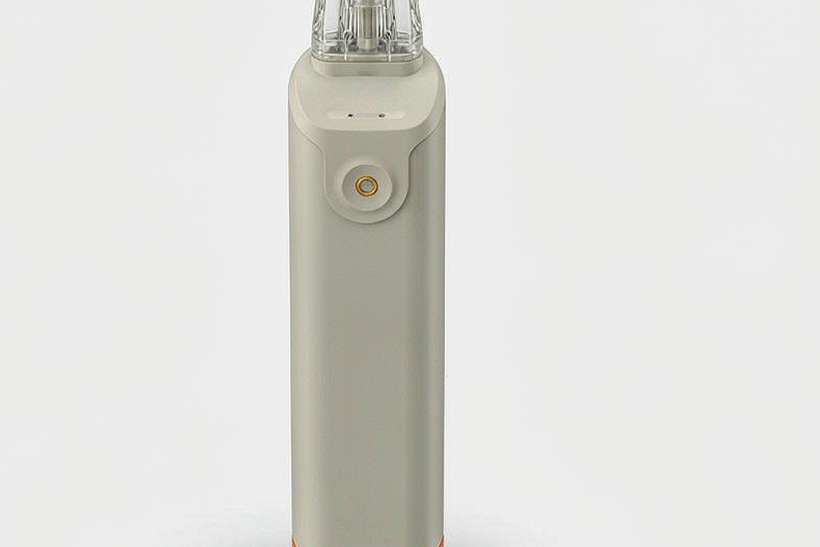 Market Overview of vape disposables — bulk case
