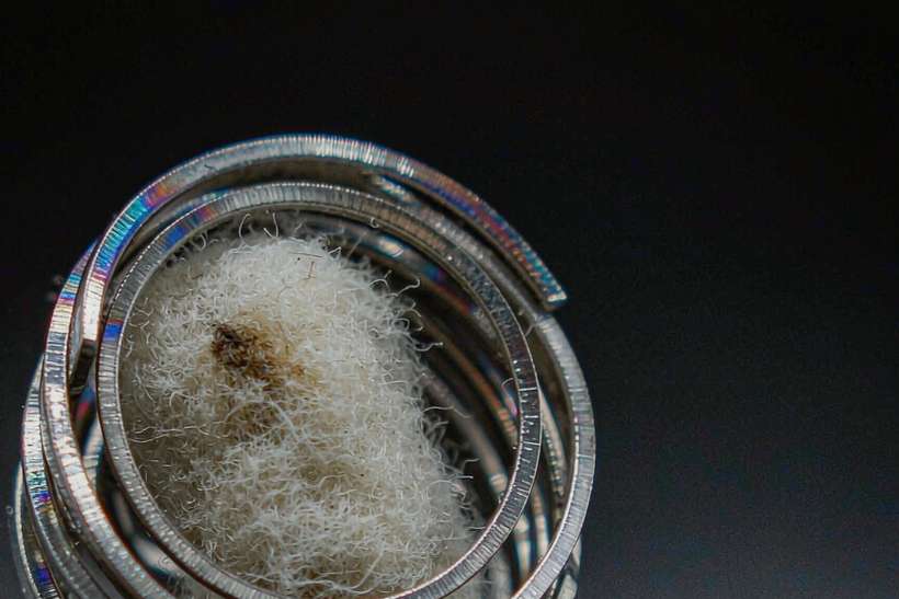 Regional Review of Jeonju Tanba vape — Spring catalog
