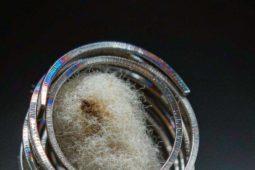 Regional Review of vape hardware — US warehouse