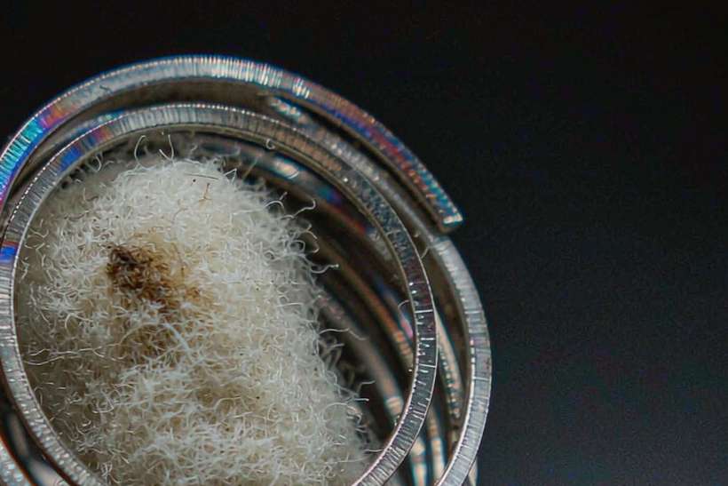 Regional Review of vape pods — ODM ready