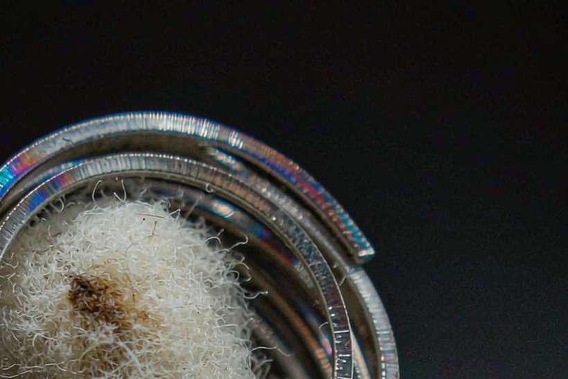 Top Picks of vape pods — Winter special