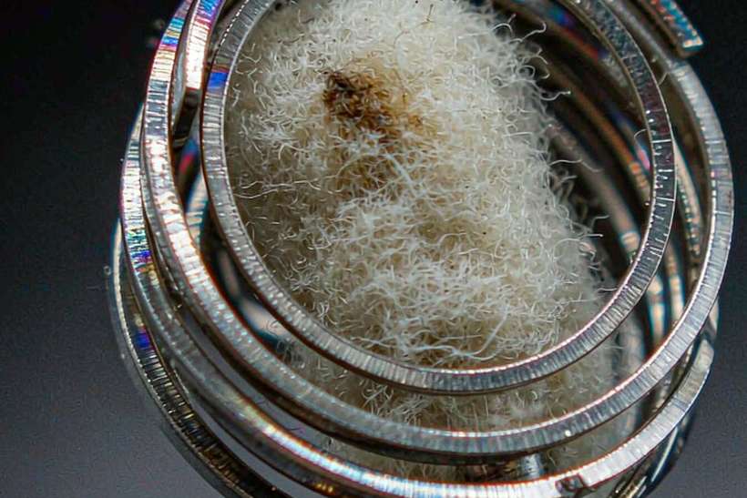 Trend Report on vape hardware — ODM ready