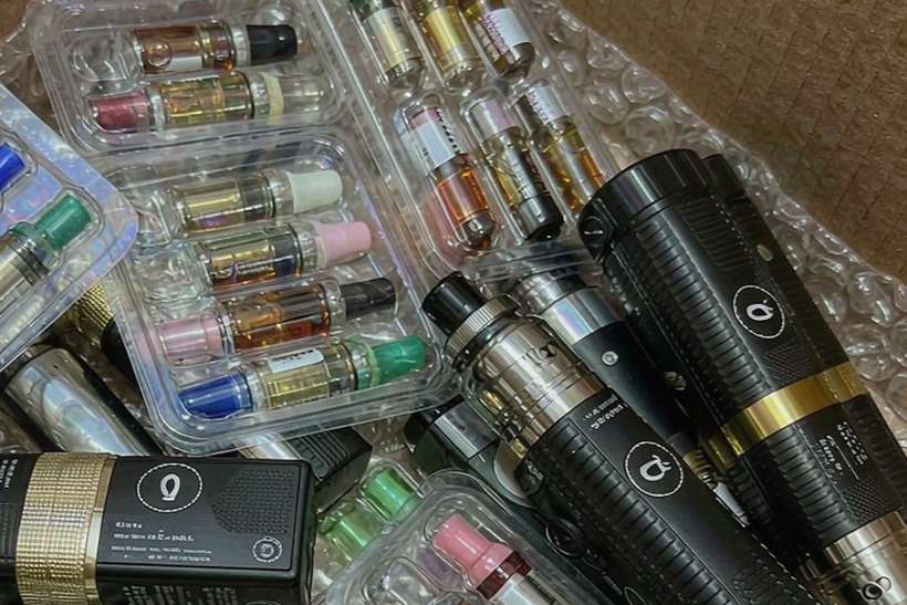 Trend Report on vape in Jeonju Tanba — OEM available