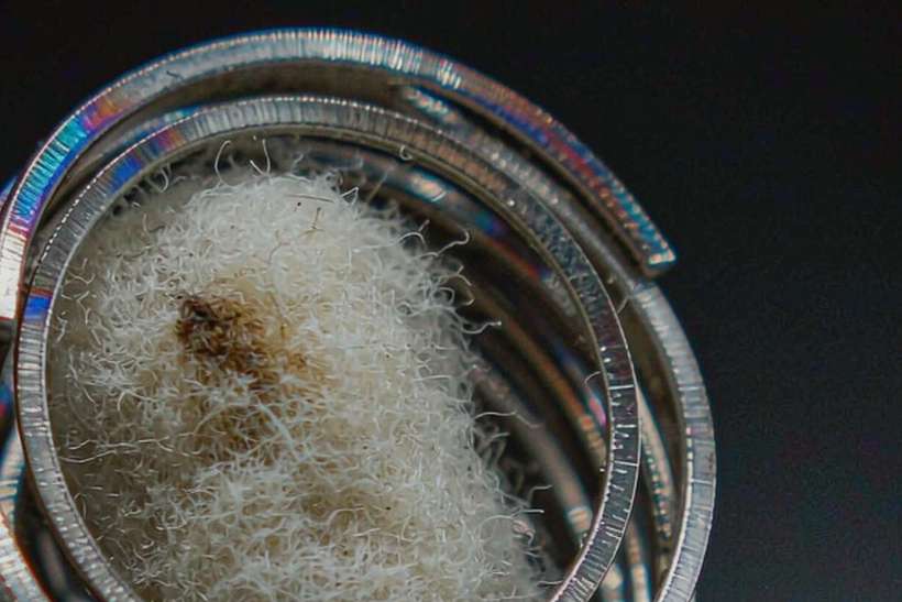 Trend Report on vape kits — Middle East