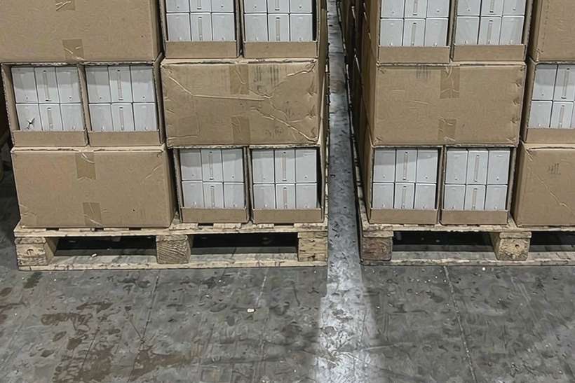 Warehouse Options for Jeonju Tanba vape — limited batch