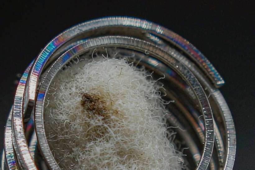 Warehouse Options for vape coils — Autumn stock